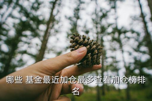 哪些 基金最近加倉(cāng)最多查看加倉(cāng)榜排名