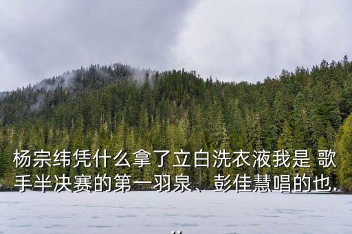 楊宗緯憑什么拿了立白洗衣液我是 歌手半決賽的第一羽泉、彭佳慧唱的也...