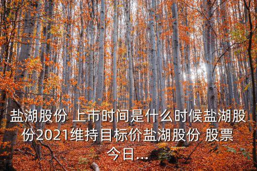 鹽湖股份 上市時(shí)間是什么時(shí)候鹽湖股份2021維持目標(biāo)價(jià)鹽湖股份 股票今日...