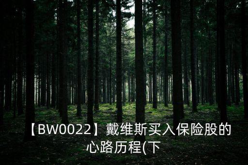 【BW0022】戴維斯買入保險股的心路歷程(下