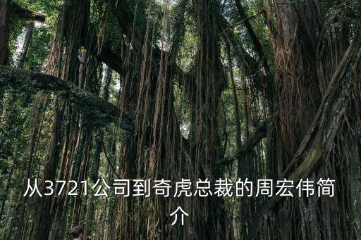 從3721公司到奇虎總裁的周宏偉簡(jiǎn)介