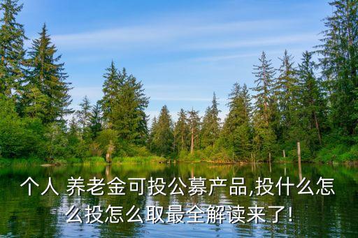 個(gè)人 養(yǎng)老金可投公募產(chǎn)品,投什么怎么投怎么取最全解讀來(lái)了!