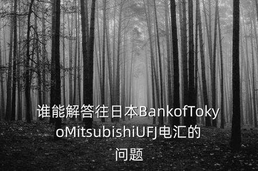 誰(shuí)能解答往日本BankofTokyoMitsubishiUFJ電匯的問題