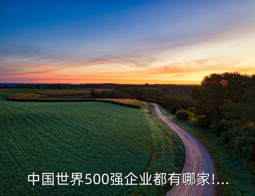 中國世界500強(qiáng)企業(yè)都有哪家!…