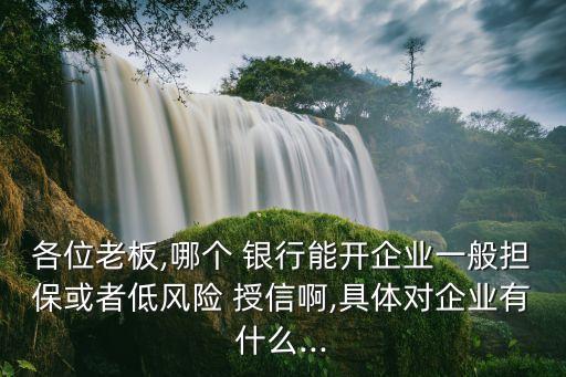 各位老板,哪個 銀行能開企業(yè)一般擔?；蛘叩惋L險 授信啊,具體對企業(yè)有什么...