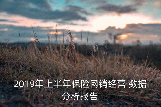 2019年上半年保險(xiǎn)網(wǎng)銷經(jīng)營(yíng) 數(shù)據(jù)分析報(bào)告