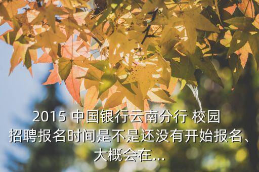 2015 中國銀行云南分行 校園 招聘報(bào)名時(shí)間是不是還沒有開始報(bào)名、大概會(huì)在...