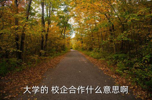 大學的 校企合作什么意思啊