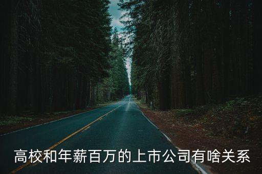  高校和年薪百萬的上市公司有啥關系