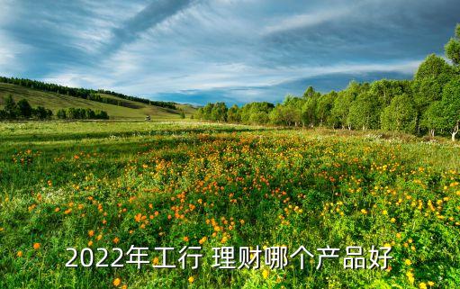 2022年工行 理財哪個產(chǎn)品好