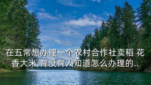 在五常想辦理一個農(nóng)村合作社賣稻 花香大米,有沒有人知道怎么辦理的...