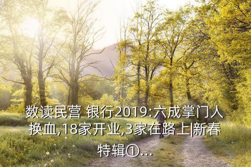 數(shù)讀民營(yíng) 銀行2019:六成掌門人換血,18家開業(yè),3家在路上|新春特輯①...