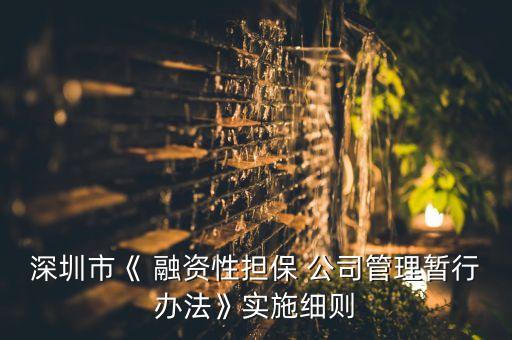 深圳市《 融資性擔保 公司管理暫行辦法》實施細則