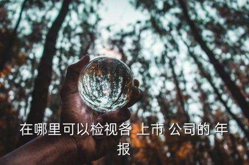 在哪里可以檢視各 上市 公司的 年報(bào)