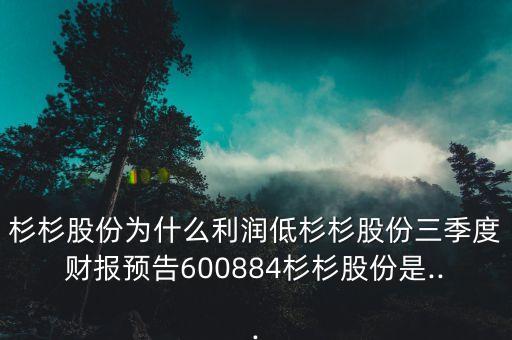 杉杉股份為什么利潤低杉杉股份三季度財(cái)報(bào)預(yù)告600884杉杉股份是...