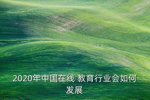 2020年中國在線 教育行業(yè)會如何發(fā)展