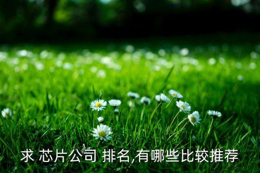 求 芯片公司 排名,有哪些比較推薦