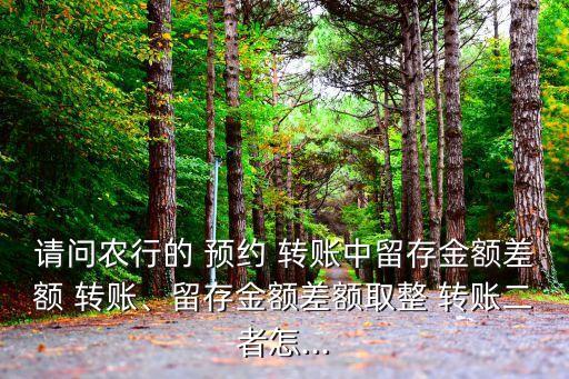 請(qǐng)問(wèn)農(nóng)行的 預(yù)約 轉(zhuǎn)賬中留存金額差額 轉(zhuǎn)賬、留存金額差額取整 轉(zhuǎn)賬二者怎...