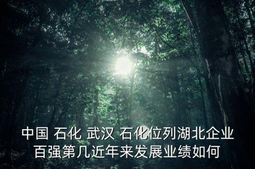 中國 石化 武漢 石化位列湖北企業(yè)百強第幾近年來發(fā)展業(yè)績?nèi)绾? class=