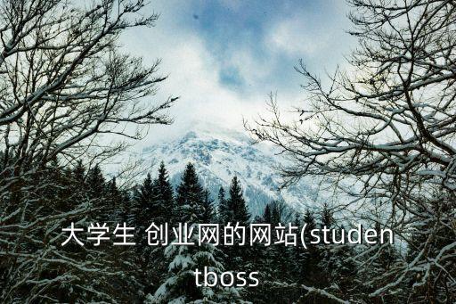 大學(xué)生 創(chuàng)業(yè)網(wǎng)的網(wǎng)站(studentboss