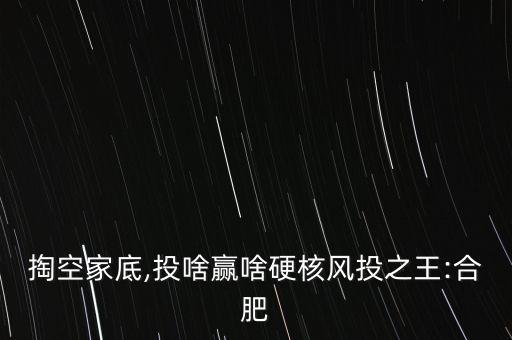 掏空家底,投啥贏啥硬核風(fēng)投之王:合肥