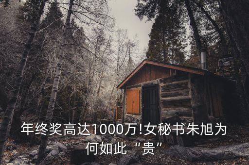 年終獎高達1000萬!女秘書朱旭為何如此“貴”