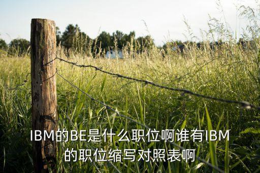 IBM的BE是什么職位啊誰有IBM的職位縮寫對照表啊