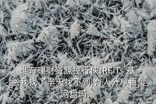 誰有理財(cái)資源獨(dú)行俠:REITs 基金,我找了半天找不到,有人分享百度網(wǎng)盤嗎...