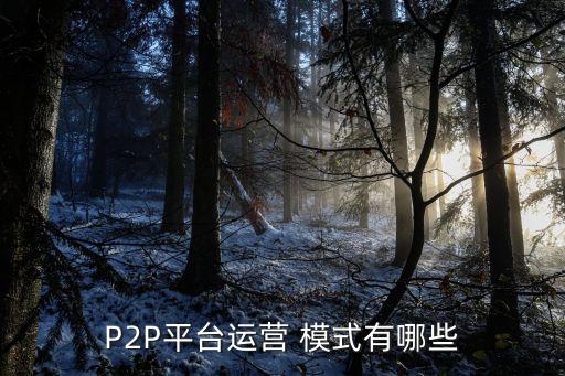 P2P平臺運(yùn)營 模式有哪些