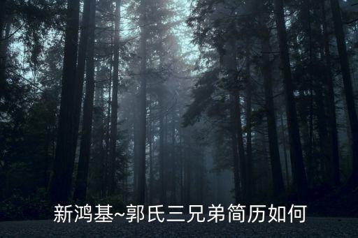 佛山新鴻基金融集團(tuán),香港新鴻基金融集團(tuán)官方網(wǎng)