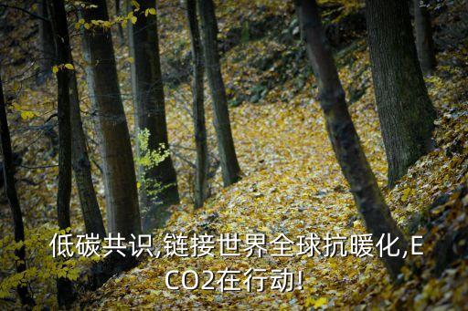  低碳共識,鏈接世界全球抗暖化,ECO2在行動!