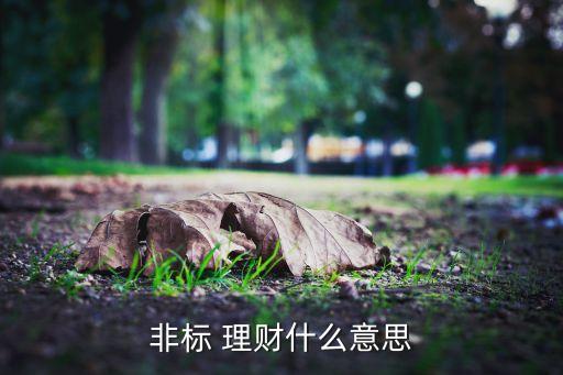 非標(biāo) 理財什么意思