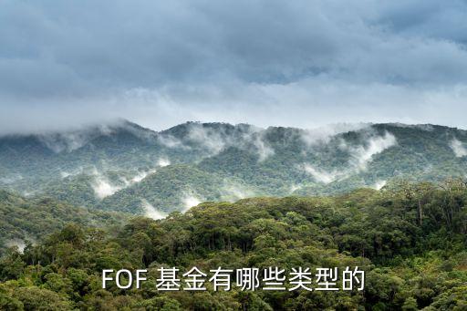 fof基金投資策略,養(yǎng)老fof基金的投資策略包括哪些