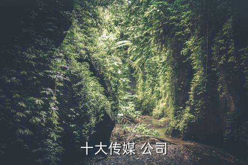 十大傳媒 公司