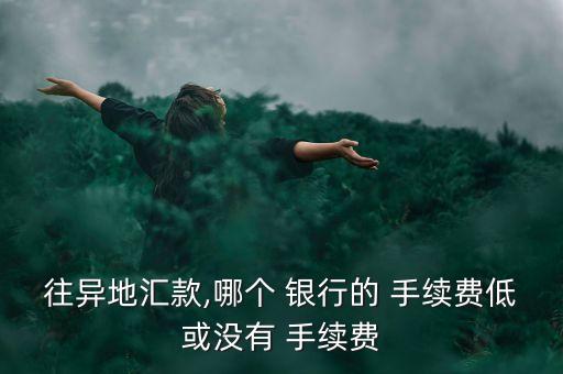 省內(nèi)免手續(xù)費的銀行,同一銀行省內(nèi)轉(zhuǎn)賬有沒有手續(xù)費