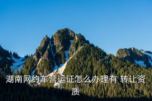 湖南網(wǎng)約車營運證怎么辦理有 轉(zhuǎn)讓資質(zhì)