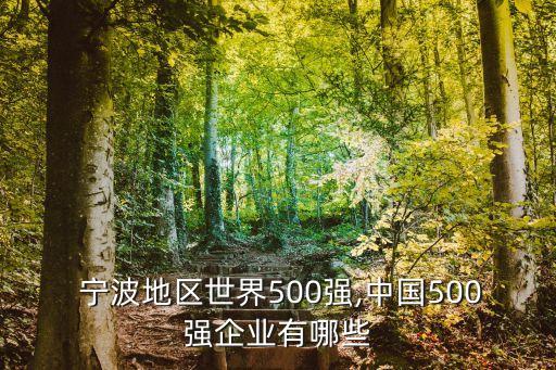  寧波地區(qū)世界500強,中國500強企業(yè)有哪些