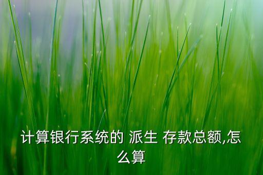 計算銀行系統(tǒng)的 派生 存款總額,怎么算