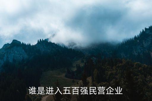 誰(shuí)是進(jìn)入五百?gòu)?qiáng)民營(yíng)企業(yè)