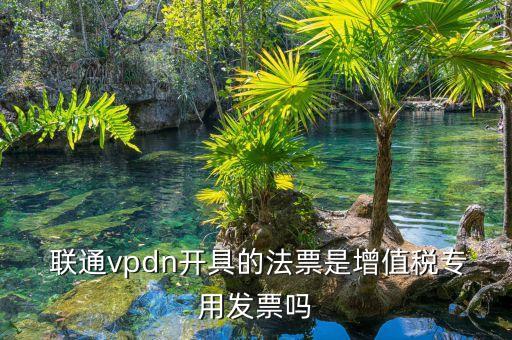  聯(lián)通vpdn開(kāi)具的法票是增值稅專(zhuān)用發(fā)票嗎