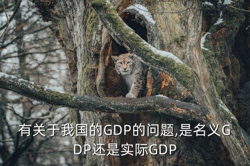 有關(guān)于我國的GDP的問題,是名義GDP還是實際GDP