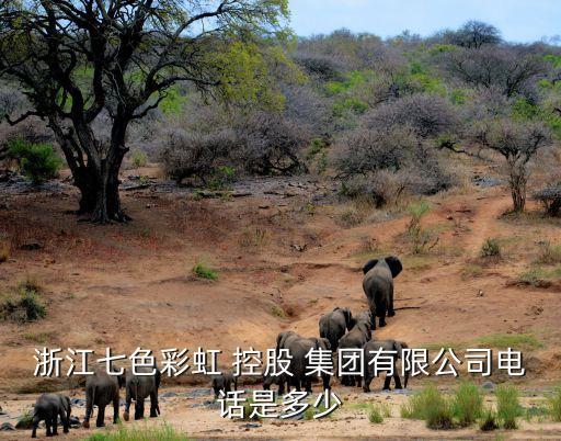 浙江七色彩虹 控股 集團(tuán)有限公司電話是多少