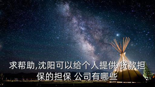 求幫助,沈陽可以給個人提供 貸款擔保的擔保 公司有哪些