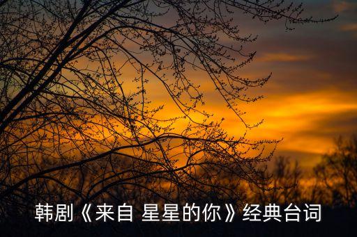 韓劇《來自 星星的你》經(jīng)典臺(tái)詞