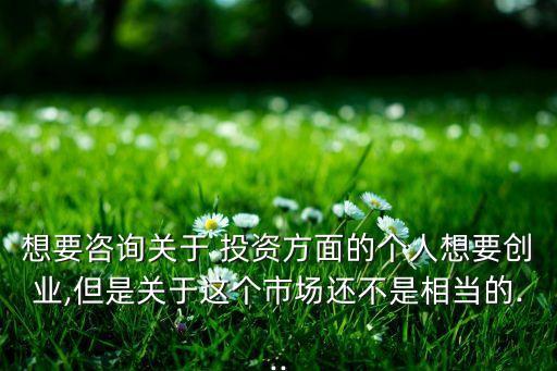 想要咨詢關(guān)于 投資方面的個(gè)人想要?jiǎng)?chuàng)業(yè),但是關(guān)于這個(gè)市場(chǎng)還不是相當(dāng)?shù)?..