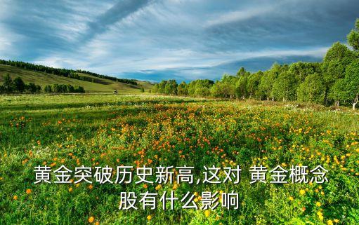 股票中金黃金今天行情,中金黃金股票可以長(zhǎng)期持有嗎