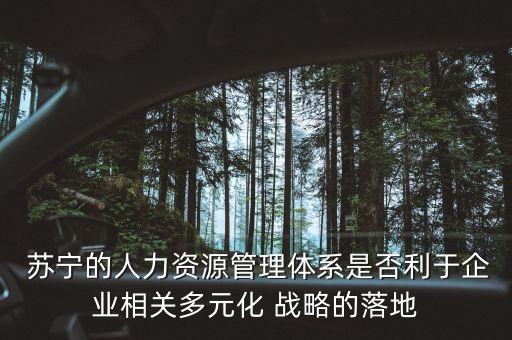  蘇寧的人力資源管理體系是否利于企業(yè)相關(guān)多元化 戰(zhàn)略的落地