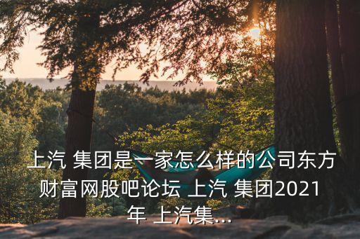  上汽 集團是一家怎么樣的公司東方財富網股吧論壇 上汽 集團2021年 上汽集...