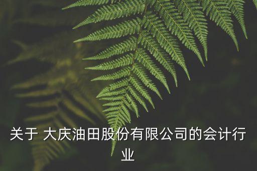 關(guān)于 大慶油田股份有限公司的會計行業(yè)