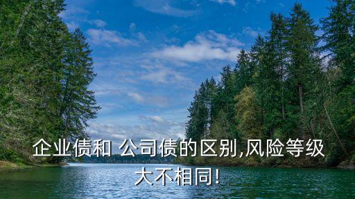  企業(yè)債和 公司債的區(qū)別,風(fēng)險(xiǎn)等級(jí)大不相同!